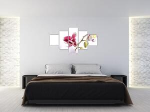 Obraz kwiatu orchidei (125x70 cm)
