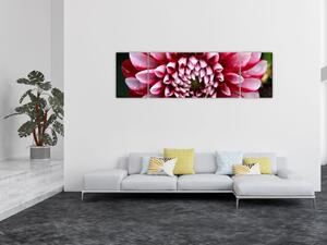 Obraz różowej dalii (170x50 cm)