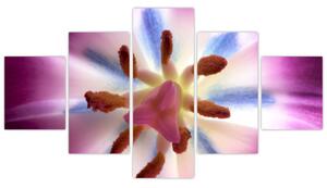 Obraz - Kwiat tulipana w szczegółach (125x70 cm)