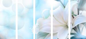 5-częściowy obraz biały kwiat lilii na abstrakcyjnym tle