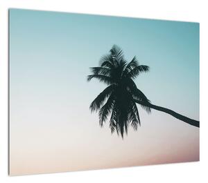 Obraz - Palma na Bali (70x50 cm)