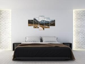 Obraz - Chodnik w dolinie góry Mt. Cook (125x70 cm)
