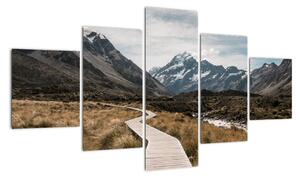 Obraz - Chodnik w dolinie góry Mt. Cook (125x70 cm)