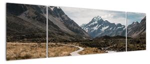 Obraz - Chodnik w dolinie góry Mt. Cook (170x50 cm)