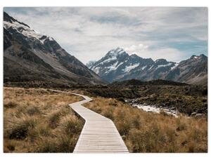 Obraz - Chodnik w dolinie góry Mt. Cook (70x50 cm)