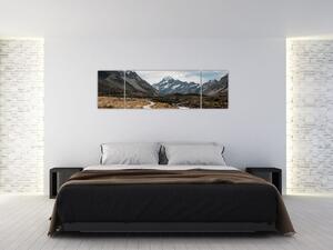 Obraz - Chodnik w dolinie góry Mt. Cook (170x50 cm)