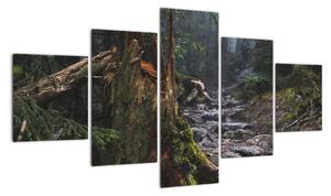 Obraz - W lesie (125x70 cm)