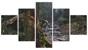 Obraz - W lesie (125x70 cm)