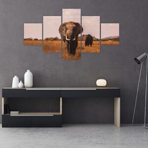 Obraz - Przybycie słonia (125x70 cm)