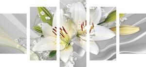 5-częściowy obraz biała lilia na interesującym tle