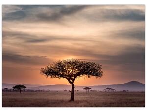 Obraz zachodu słońca w Tanzanii (70x50 cm)