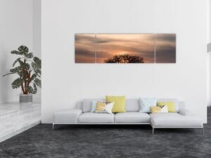 Obraz zachodu słońca w Tanzanii (170x50 cm)