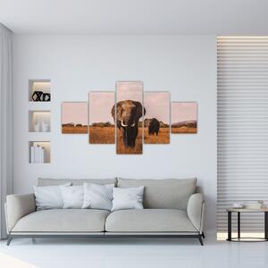 Obraz - Przybycie słonia (125x70 cm)