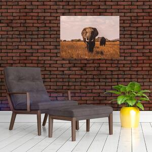 Obraz - Przybycie słonia (70x50 cm)