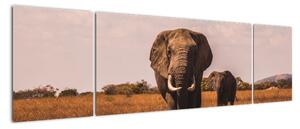 Obraz - Przybycie słonia (170x50 cm)