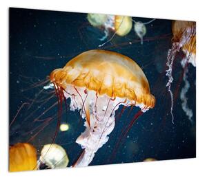 Obraz meduzy (70x50 cm)