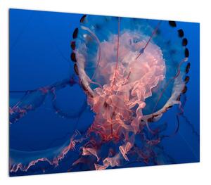 Obraz meduzy (70x50 cm)