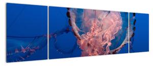 Obraz meduzy (170x50 cm)