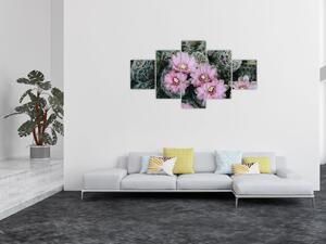 Obraz kwiatu kaktusa (125x70 cm)