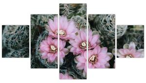 Obraz kwiatu kaktusa (125x70 cm)