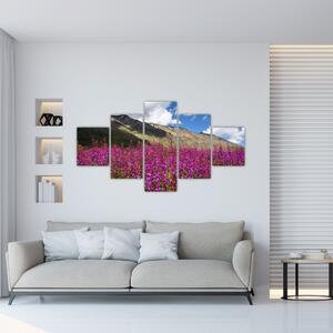 Obraz scenerii łąki górskiej (125x70 cm)