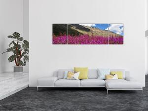 Obraz scenerii łąki górskiej (170x50 cm)