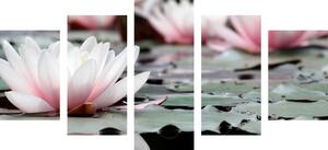 5-częściowy obraz kwiat lotosu