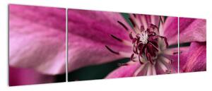 Obraz różowego kwiatu powojnika (170x50 cm)