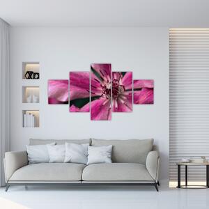 Obraz różowego kwiatu powojnika (125x70 cm)