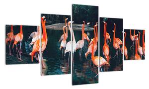 Obraz stada flamingów (125x70 cm)