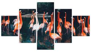 Obraz stada flamingów (125x70 cm)