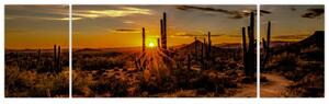 Obraz - Koniec dnia na pustyni w Arizonie (170x50 cm)
