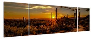 Obraz - Koniec dnia na pustyni w Arizonie (170x50 cm)