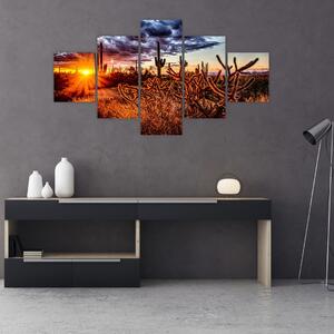 Obraz - Złota godzina pustyni (125x70 cm)