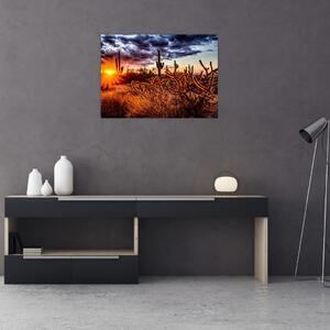 Obraz - Złota godzina pustyni (70x50 cm)