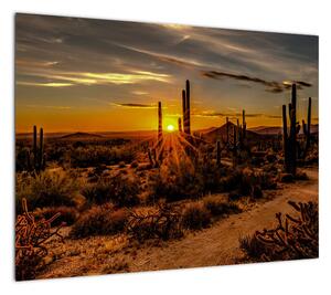 Obraz - Koniec dnia na pustyni w Arizonie (70x50 cm)