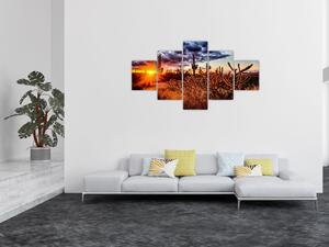 Obraz - Złota godzina pustyni (125x70 cm)