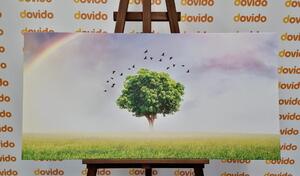Obraz samotne drzewo na łące