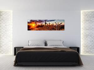 Obraz - Złota godzina pustyni (170x50 cm)