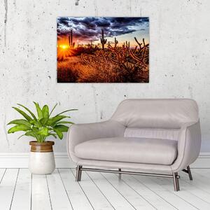 Obraz - Złota godzina pustyni (70x50 cm)