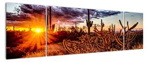 Obraz - Złota godzina pustyni (170x50 cm)