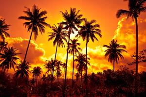 Obraz palmy kokosowe na plaży