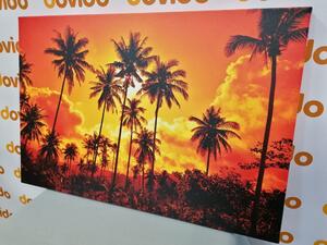 Obraz palmy kokosowe na plaży
