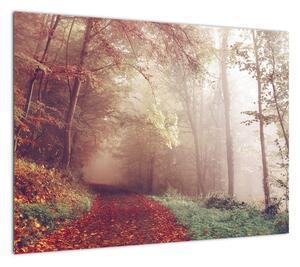 Obraz - Jesienny spacer po lesie (70x50 cm)