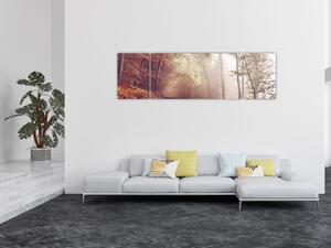 Obraz - Jesienny spacer po lesie (170x50 cm)