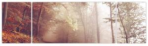 Obraz - Jesienny spacer po lesie (170x50 cm)