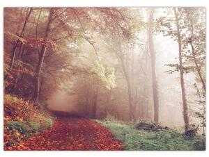 Obraz - Jesienny spacer po lesie (70x50 cm)