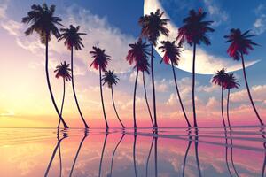 Obraz zachód słońca nad tropikalnymi palmami