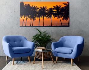 Obraz zachód słońca nad palmami