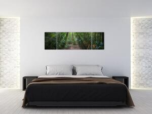 Obraz - Promienie słońca w dżungli (170x50 cm)
